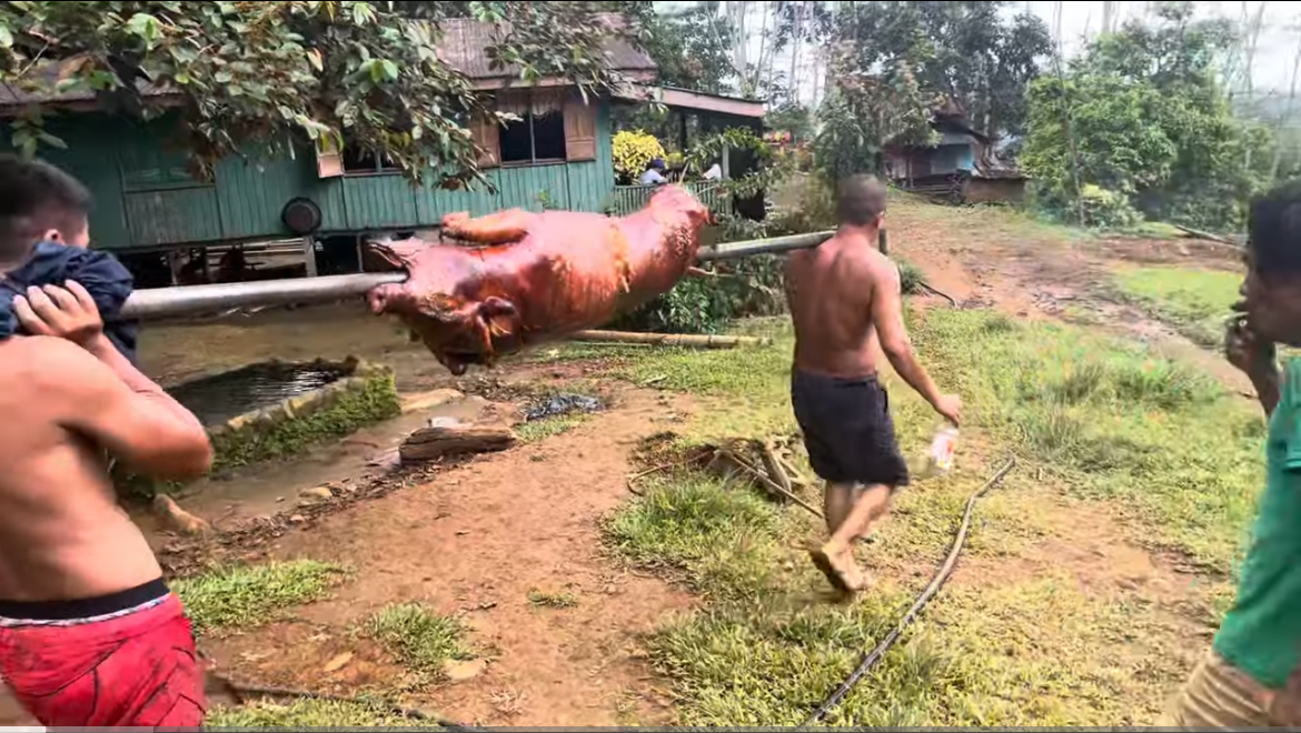 My Philippine Adventures